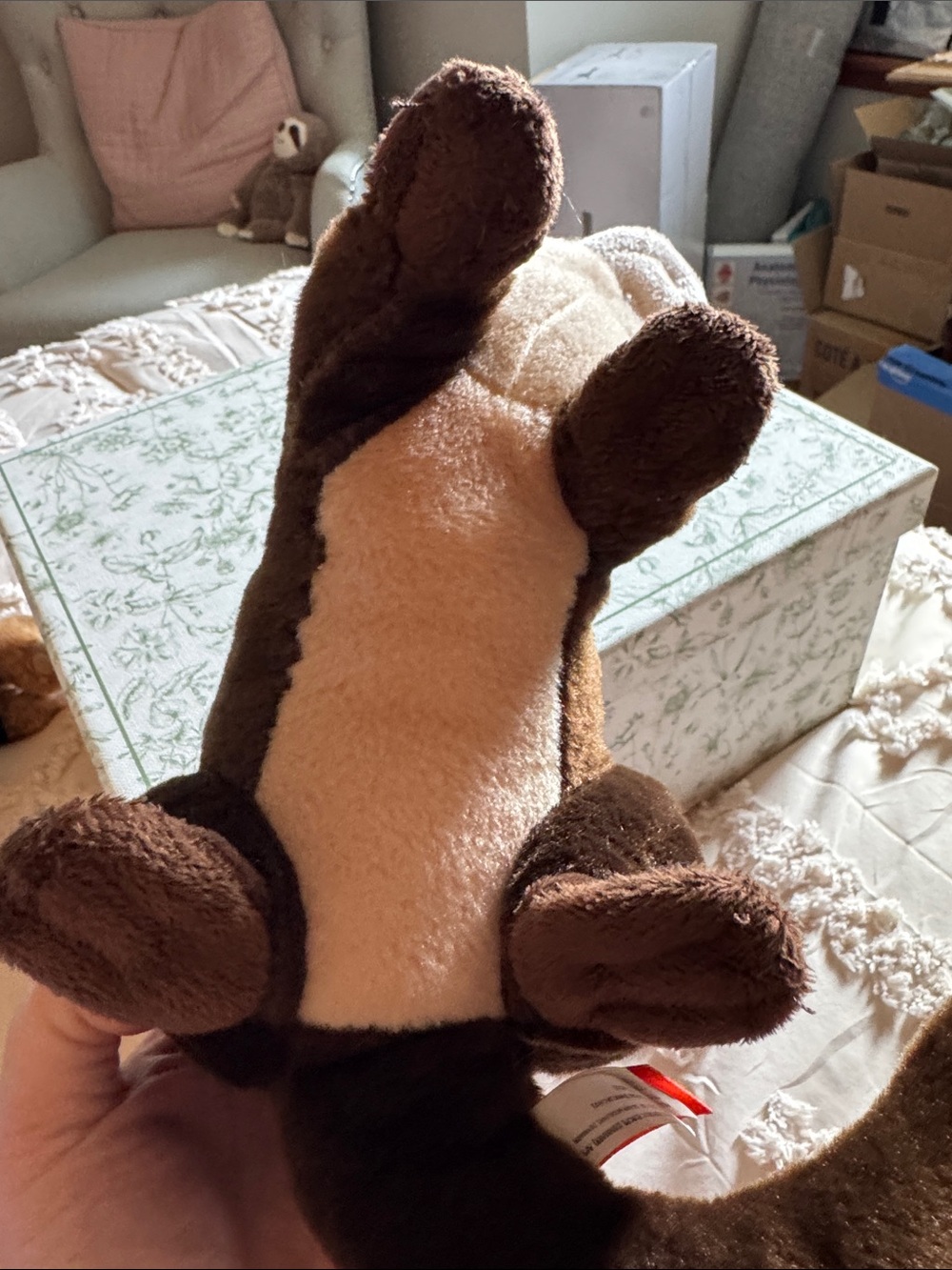 Plush Otter Stuffed Animal - Brown and Cream - Ty - Picture 4 of 5